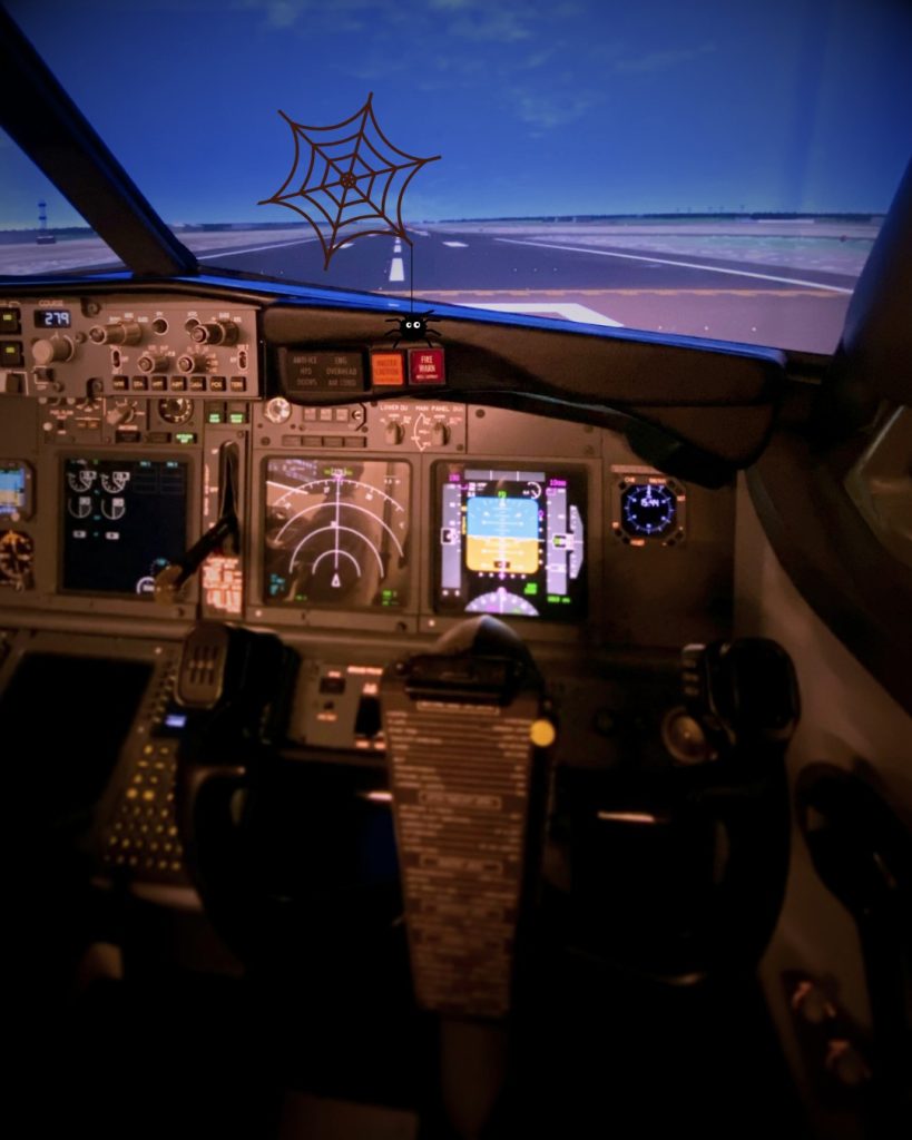 Atlantic Flight Training Academy Boeing 737-800 NG Experience Cork-2