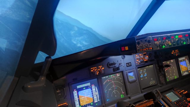Flight Experience Singapore Boeing 737-1