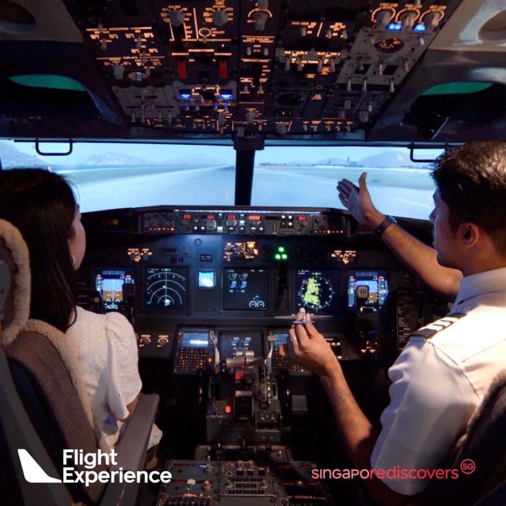 Flight Experience Singapore Boeing 737-2