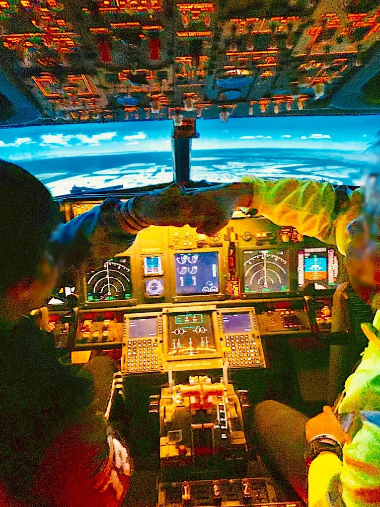 LUXURY FLIGHT Flight Simulator Haneda: Multi-Aircraft Cockpit Experience at Tokyo Airport