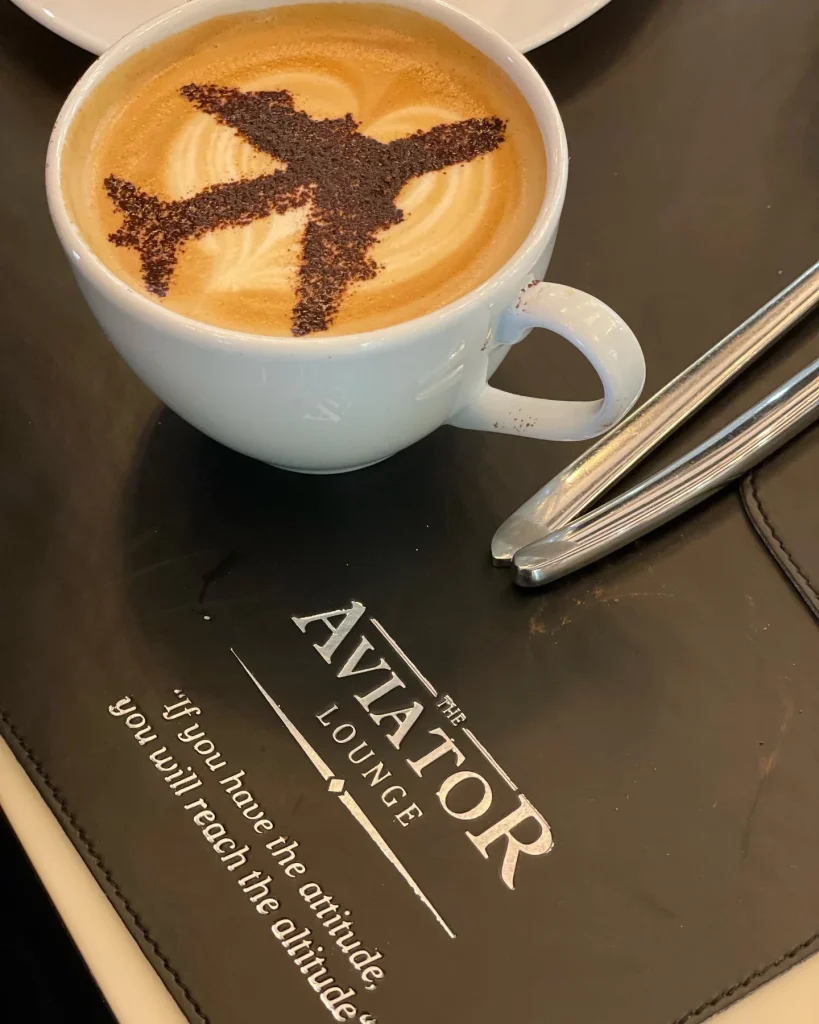 The Aviator Lounge Boeing 737-800NG Experience Doha-6